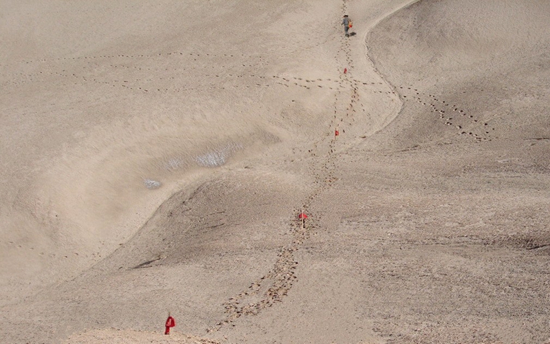 121636685493288422.jpeg 2鏗鏘足跡.jpg