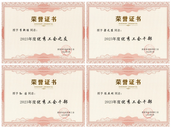 261711445336122029.jpeg 2.jpg